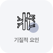 기질적요인