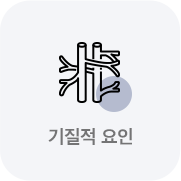 기질적요인