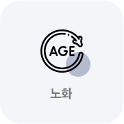 노화