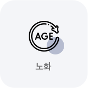 노화