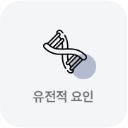 유전적 요인