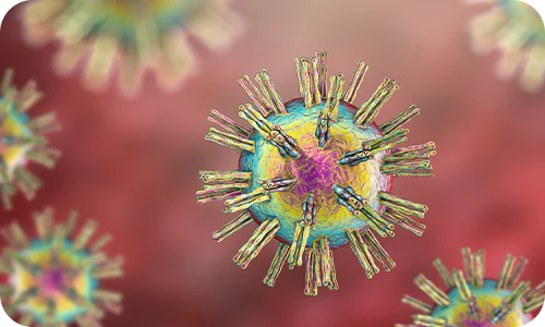 에이즈 (HIV)